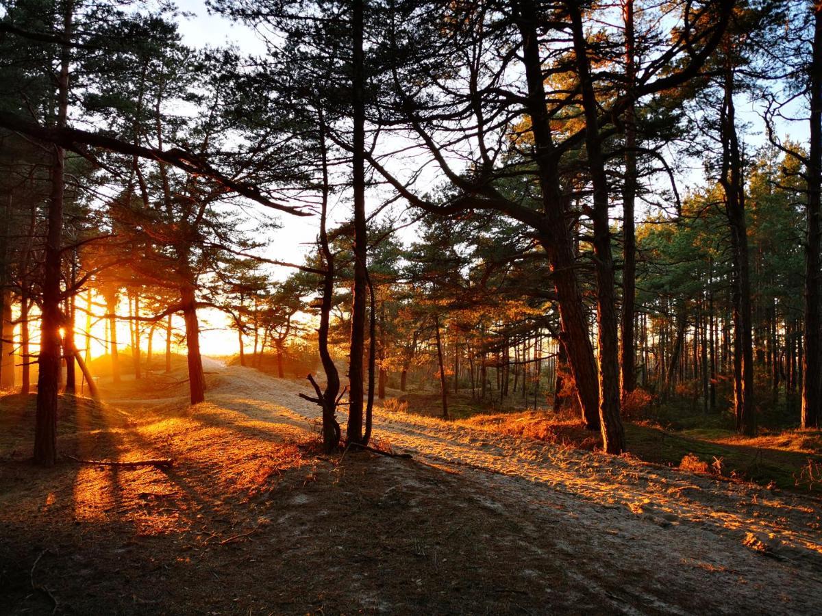 Sunny Pines Apartment Palanga Luaran gambar